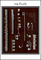 Flute Anatomy Chart 8x12 Instrument Poster P.O.D.